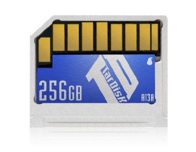 TarDisk 256GB | Storage Expansion Card for MacBook Air 13"   A13A