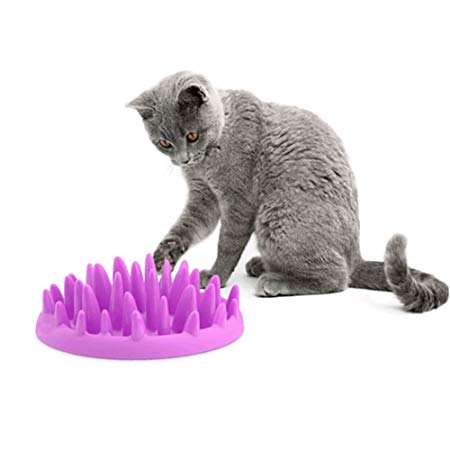 Patgoal Cat Catch Interactive Feeder Bowl Slow Feed Anti-gulping Bloat Stop Pet Bowl