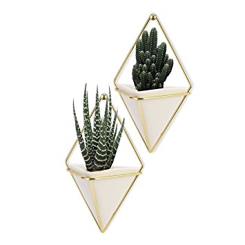 LANMU Hanging Container,Handcrafted Wall Vases,Geometric Wall Decor,Wall Vase Hanging,Plant Holder for Air Plants/Succulent Plants//Artificial Flowers/Mini Cactus/Geometric Plants-2Pack