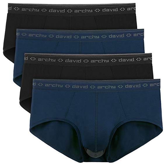 David Archy Men's 4 Pack Micro Modal Separate Pouch Briefs With Fly