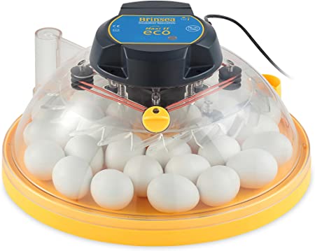 Brinsea Products USAC25C Maxi II Eco Manual 30 Egg Incubator, One Size