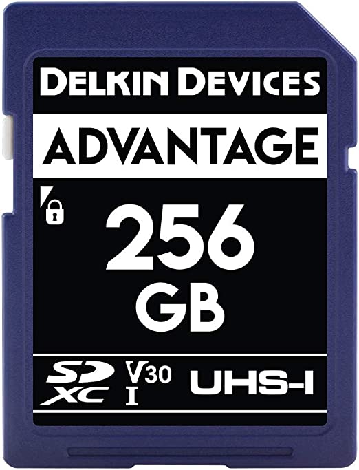 Delkin Devices 256GB Advantage SDXC UHS-I (V30) Memory Card (DDSDW633256G)
