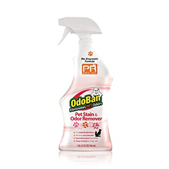 Pets Rule OdoBan Pet Stain and Odor Remover Spray, 32 Ounce Spray Bottle