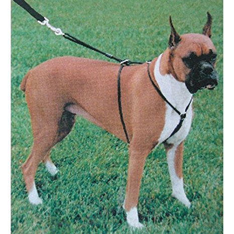 Coastal Pet Products DCP603320MD Nylon Walk Right Control Dog Harness, Medium, Black