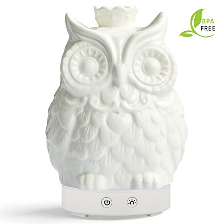 Essential Oil Diffuser 120ml Cool Mist Humidifier -14 Color LED Nihgt lamps - Crafts Ornaments All in One is The Round Rich Upgrade Whisper-Quiet Operation Ultrasonic Ceramics Owl Humidifiers US120V