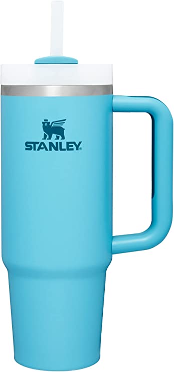 Stanley Quencher H2.0 FlowState Stainless Steel Vacuum Insulated Tumbler with Lid and Straw for Water, Iced Tea or Coffee, Smoothie and More