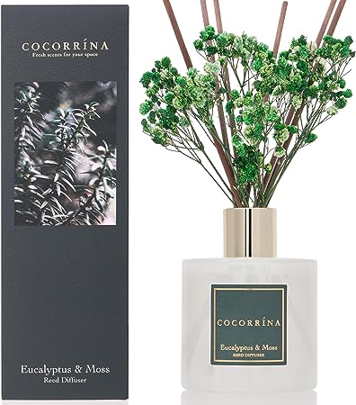 Cocorrína Reed Diffuser Sets- Eucalyptus & Moss Scented Diffuser with Sticks Home Fragrance Essential Oil Reed Diffuser for Bathroom Shelf Decor