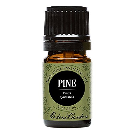 Pine 100% Pure Therapeutic Grade Essential Oil by Edens Garden- 5 ml