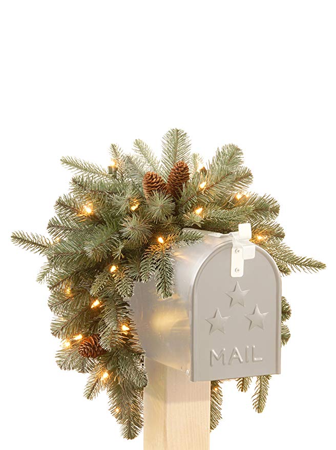 National Tree 3 Foot "Feel Real" Frosted Artic Spruce Mailbox Swag with Cones and 35 Battery Operated Warm White LED Lights (PEFA1-307-3M-B1)