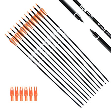 Tiger Archery 30Inch Carbon Arrow Practice Hunting Arrows With Removable Tips for Compound & Recurve Bow(Pack of 12)