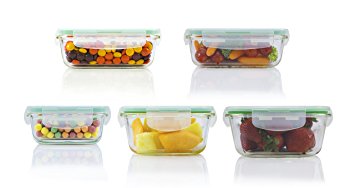 Square Oven Food Storage Glass Container 10 Piece Set (Microwave, Oven, Fridge, Freezer, Dishwasher Safe)