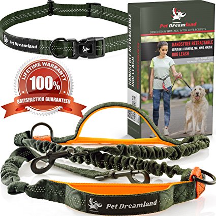 Pet Dreamland • Hands Free Dog Leash - Improved Running Leash with Triple Bungee Cords and Dual Padded Handles