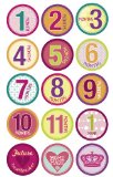 SlickSugar Belly Banter Baby Monthly Stickers for Girl
