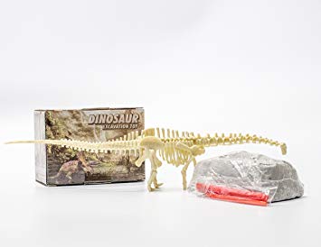 AFU Dinosaur Excavation Kits for Kids, Educational Dino Skeleton Assembly Set, Creative Fossil Dig Dino Toys for 5 - 12 Boys and Girls (Diplodocus)