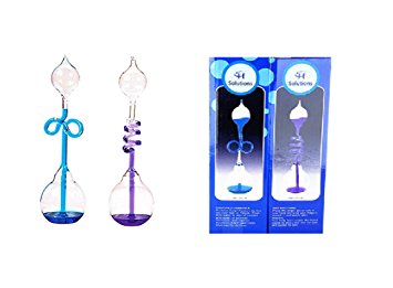 Colorful Office Thinking Hand Boiler, Glass Science Energy Transfer, Children Science Experiment, Love Birds Color Meter Hand Boiler, 2 Pcs (Blue&Purple) By C&H Solutions