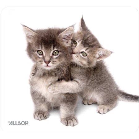 Allsop Naturesmart Mouse Pad Kittens 30184