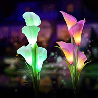 Solar Garden Lights Outdoor, 2 Pack Solar Powered Lights with 8 Lily Flower, Multi-Color Changing LED Solar Stake Lights for Garden, Patio, Backyard (Yellow/White) (Lily（White.Purple）)