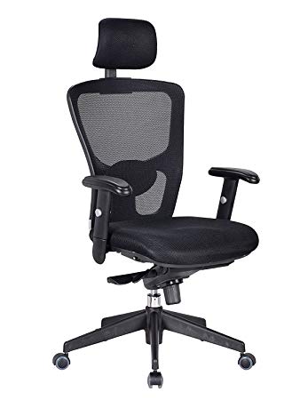 Lv. life Ergonomic Office Chair,Mesh High Back Office Chair with Arm Rests and Head Support