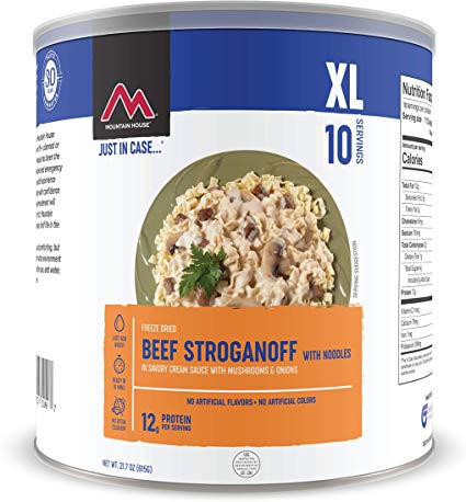 Mountain House Beef Stroganoff with Noodles | Freeze Dried Backpacking & Camping Food