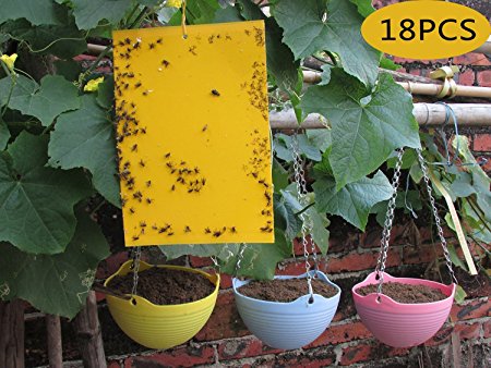 Anianiau Yellow Sticky Insect Killer Aphid White Fly Thrip Gnat Fruitfly Leafminer Trap 18pcs