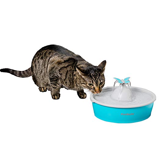 PetSafe Drinkwell Cat and Dog Water Fountain - Butterfly or Original Pet Drinking Fountain - Best for Cats and Small Dogs