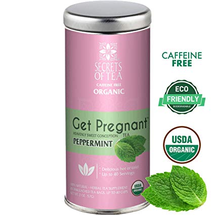Secrets of Tea-Get Pregnant Fertility Tea -USDA Organic/FDA Approved, Delicious Hot or Cold- Improves Hormone Balance and Cycle Regulation - Support Fertility Naturally- 40 Servings (Sweet Mint)