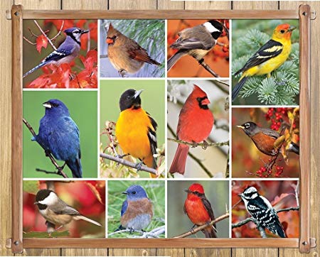 Springbok Alzheimer & Dementia Jigsaw Puzzles - Songbirds - 100 Piece Jigsaw Puzzle - Large 23.5 Inches by 18 Inches Puzzle - Made in USA - Extra Large Easy Grip Pieces