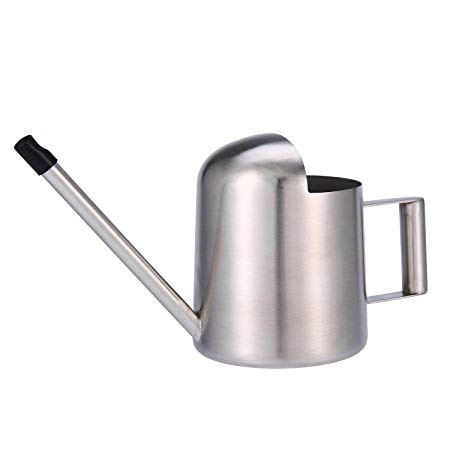 Small Watering Can, Aolvo Modern Mini Indoor Watering Can Stainless Steel 300ml 11OZ with Long Necked for House and Office Plants - Silver