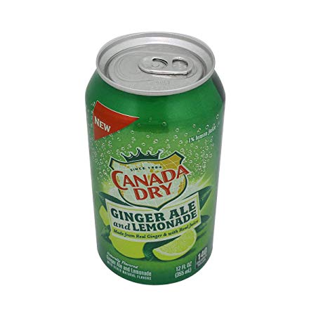 LYTIO Diversion Soda Can Lookalike Safe Stash: Hide Your Valuables in Plain Sight (Canada Dry GA)