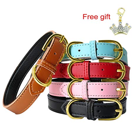 PET ARTIST Classic Soft Padded Leather Dog Collar for Small & Medium Dogs Cats