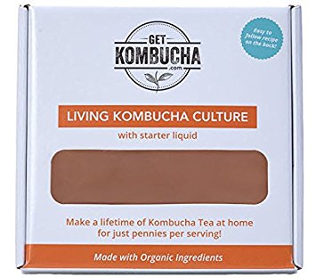 ☆ Kombucha Scoby ☆ All Natural and Organic Kombucha Scoby By GetKombucha ● Kombucha Starter Kit Includes Huge, Non Dehydrated, Scoby Starter Culture (6.5 inches in diameter!) & FREE Organic Kombucha Starter Tea ● Illustrated Kombucha Scoby Recipe and Care Instructions ● Don’t Buy Your Kombucha at Wholefoods, Make It At Home For Just 0.12¢ A Bottle ● Guaranteed to be Mold Free For Life ● Specially Priced Limited Supply Scoby Cultures for Health.