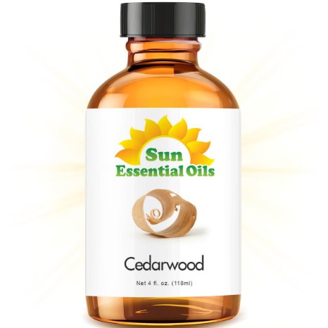 Cedarwood (Large 4 ounce) Best Essential Oil