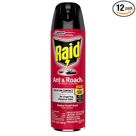 Raid Ant & Roach Killer with Outdoor Fresh Scent, 12-Ounce Cans (Pack of 12)
