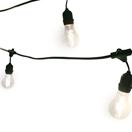 48 Foot Connectable Heavy Duty 15-Socket Vintage Festoon Light Strand with Bulbs