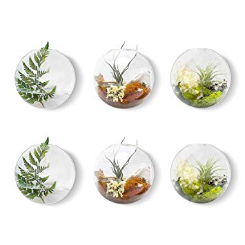 Mkono 6 Pack Glass Wall Hanging Planter Globe Air Plants Terrariums Wall Mounted Plant Vase Indoor for Home Office Living Room Decor, 4.72" Diameter