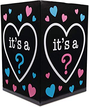 Gender Reveal Balloon Box - Holds Eight 11 Inch Standard Balloons.