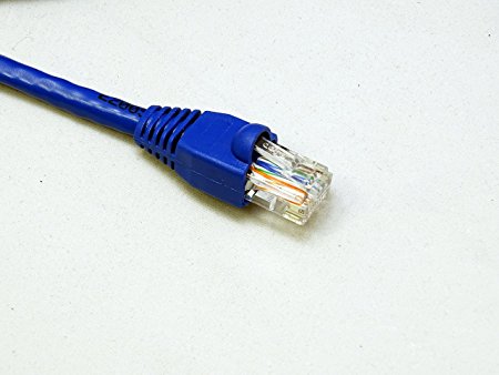 RiteAV - Cat6 Network Ethernet Cable - Blue - 30 ft