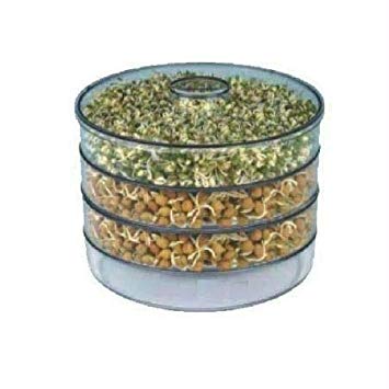 DFS Hygienic, Healthy and Effective Plastic Sprout Maker 4 Containers, Small, Clear
