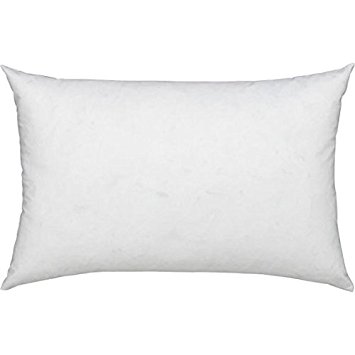 ComfyDown 95% Feather 5% Down, 12 X 22 Rectangle Decorative Pillow Insert, Sham Stuffer - MADE IN USA
