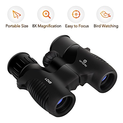 Kids Binoculars - 8 x 21 Kids Binoculars for Bird Watching, Hiking, Hunting or Other Outdoor Activities, Shock Proof, Easy to Focus, Sharp Image, Perfect Binoculars for Children, Accessories Included