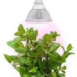 Sandalwood Advanced LED Plant Grow Light for Hydroponic Garden and Greenhouse Use - 12W E27 socket 3 Bands