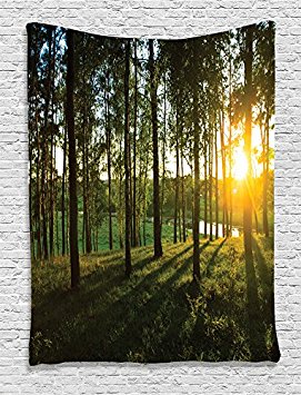 Ambesonne Farm House Decor Collection, Scene of Sunset in the Scattered Woods at Autumn and River Comes into View Print, Bedroom Living Room Dorm Wall Hanging Tapestry, Olive Green Yellow