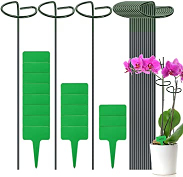 Fasmov 16 Pack 16 Inches Garden Flower Support Plant Support Stakes with 16 Pcs Plant Labels, Garden Stakes for Tall Plant Single Stem Flowers Amaryllis Tomatoes Peony Lily Rose