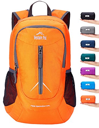 Venture Pal 25L Packable Lightweight Backpack Small Water Resistant Travel Hiking Daypack