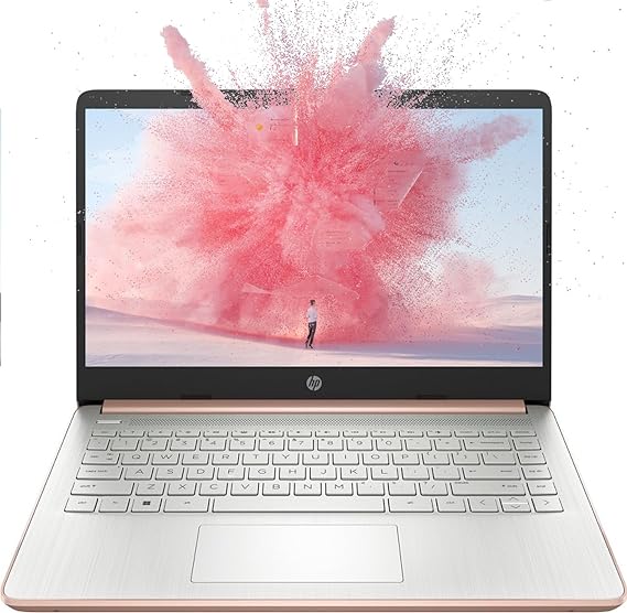 HP Premium 14-inch HD Thin and Light Laptop, Intel Quad-Core Processor, Long Battery Life, Webcam, Bluetooth, Wi-Fi, Portable SSD (16GB RAM | 320GB Storage, Rose Gold)