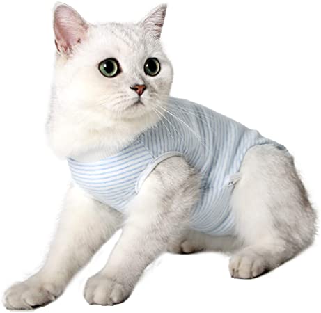Heywean Cat Professional Surgical Recovery Suit for Abdominal Wounds Skin Diseases, After Surgery Wear, E-Collar Alternative for Cats, Home Indoor Pets Clothing