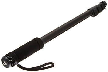 AmazonBasics 67-Inch Monopod