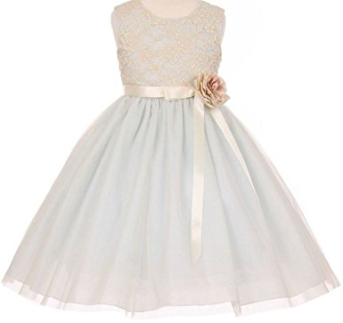 Dreamer P Little Girls Elegant Contrast 3D Lace Tulle Flowers Girls Dresses