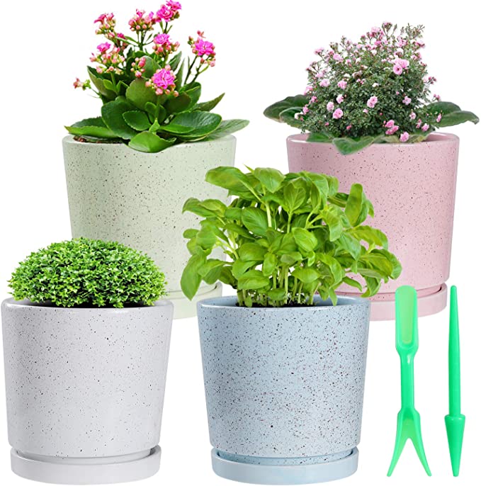 Ceramic Plant Pot Connected Saucer - 5.5 Inch Medium Indoor Flower Planter Container Garden Glazed with Drainage Decor Offic - Set of 4, Colours