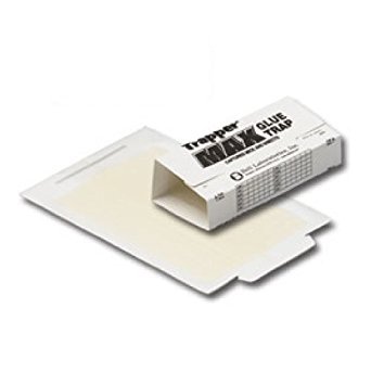 Trapper Max Mouse & Insect Glue Boards-72 Boards - Pack of 2